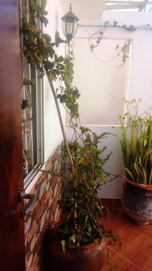 Studio Amine Avec Une Terasse Privee Rabat Exteriör bild